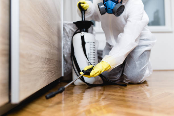 Best Cockroach Control Services  in Lake Sconsin, WI