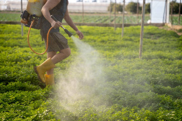 Best Affordable Pest Control Services  in Lake Sconsin, WI