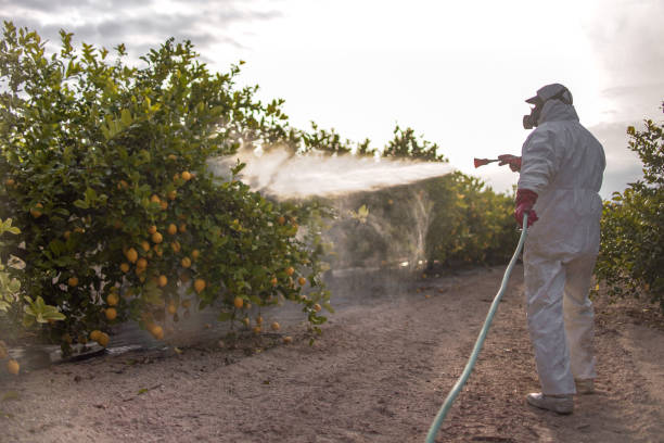 Pest Prevention Services in Lake Wisconsin, WI