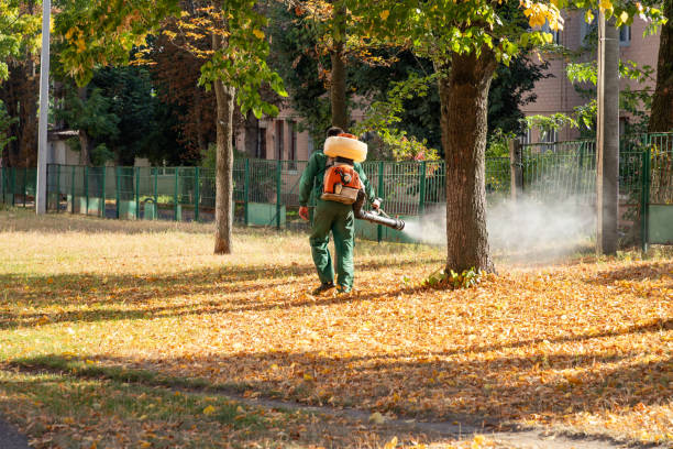 Best Insect Control  in Lake Sconsin, WI